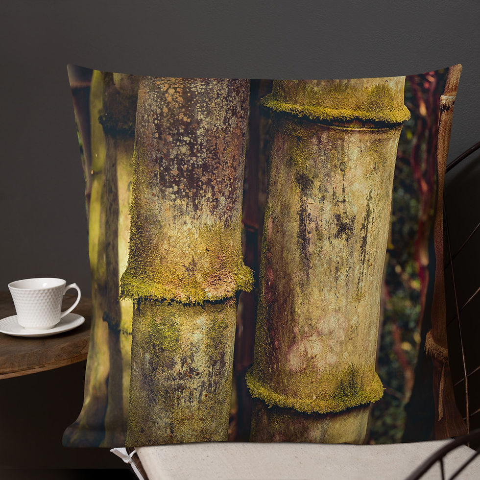 Thumbnail: Bamboo Forest-Hawaii Throw Pillow by Robert Arrington