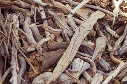 el-nicho-mary-ortega-studio-woodpile2