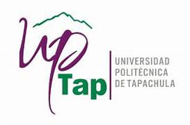 POR SERIAS ANOMALIAS REMUEVEN “TACUACHES” EN LA POLITECNICA…