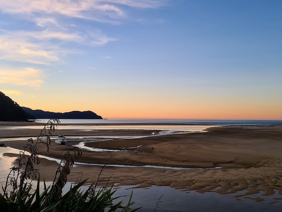 Awaroa Inlet.jpg