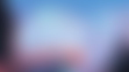 "One day we'll fly away"