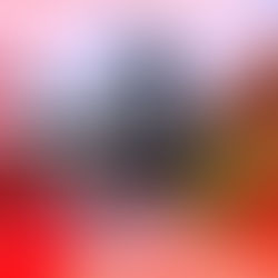 Life Update 🚙🍍🥂🖋️