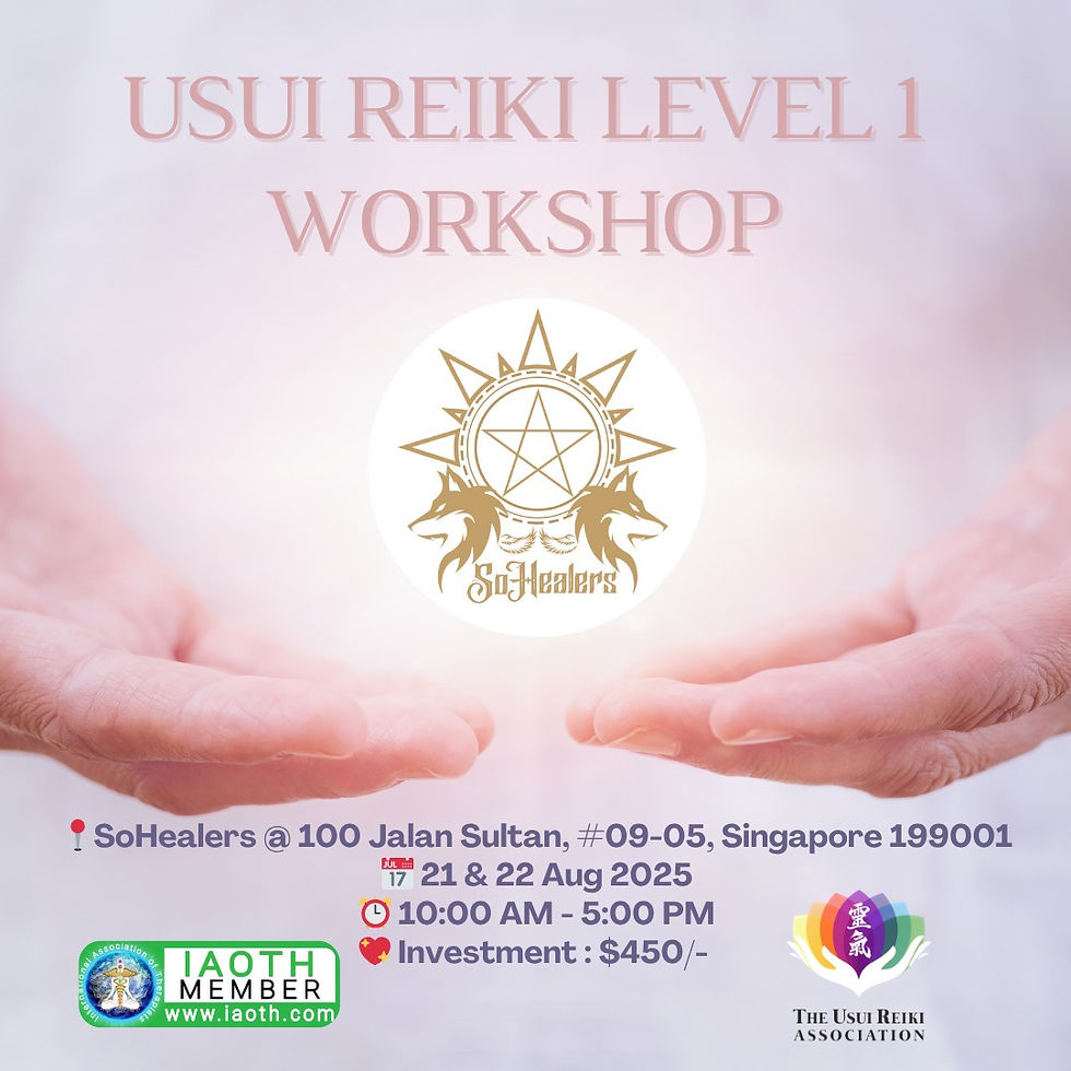 Usui Reiki Level 1 Workshop (1)