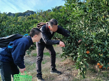 みかん狩りハイキング！