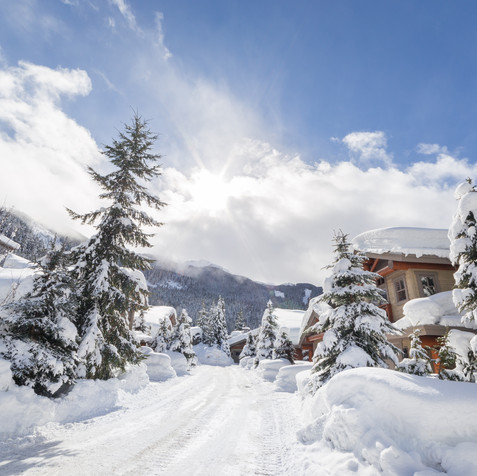 AdobeStock_218245041.jpeg