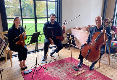 SE Strings' trio at a corporate event in Kent