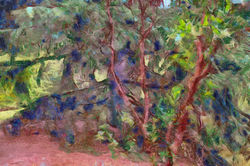 DSCF7636_dap