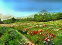 meadow4_DAP_HALF_Monet