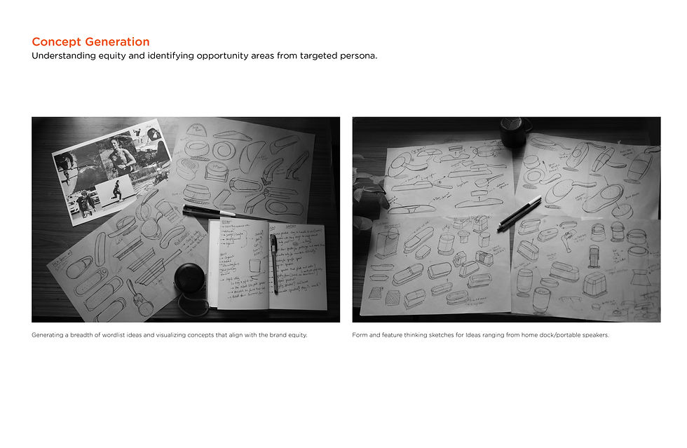 Polk Boom GoDock13.jpg