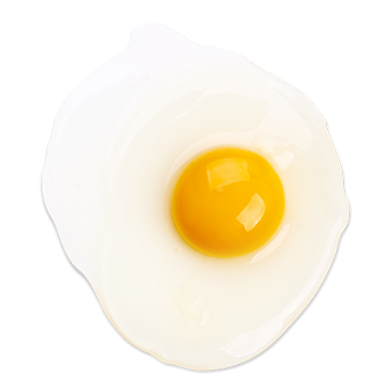 Raw Egg on Background