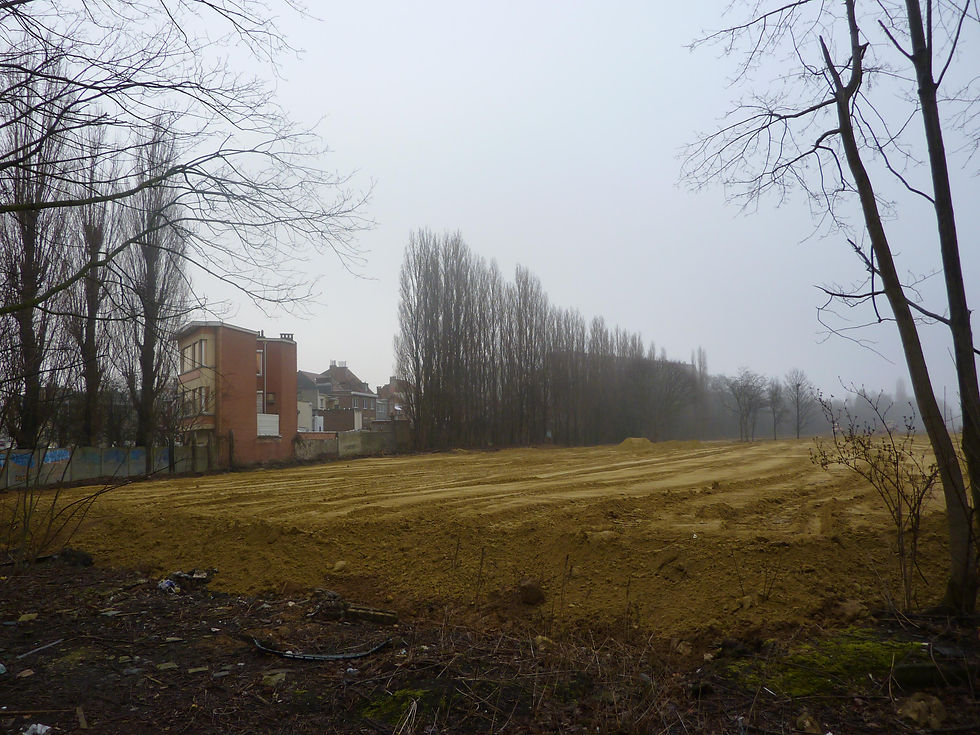 Bare levelled ground of the former Josaphat rail yard with poplars and houses in the background