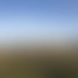 Panoramic view of the Friche Josaphat grassland in Schaerbeek under a blue sky