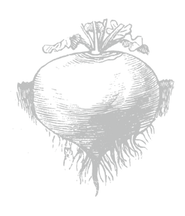 kabu.png