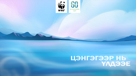 Цэнгэгээр нь үлдээе | Earth hour