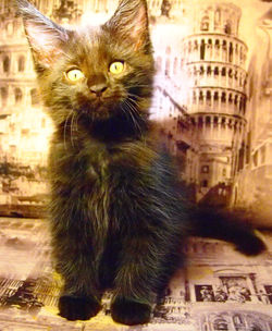 Изобр�ажение 020.jpg