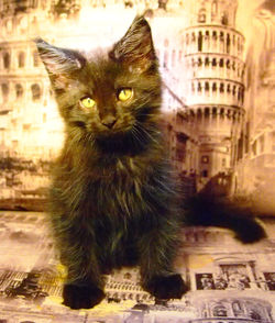 Изображение 019.jpg