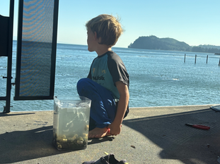 Homeschooling on the Road: Tips for Nomadic Families