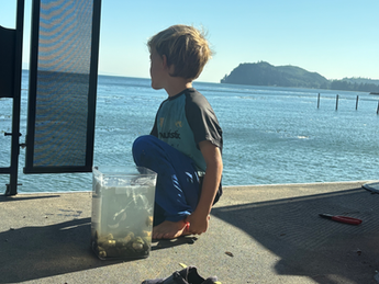 Homeschooling on the Road: Tips for Nomadic Families