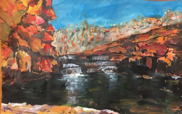 Bell Gorge l, acrylic on paper, 32 x 50cm.jpeg