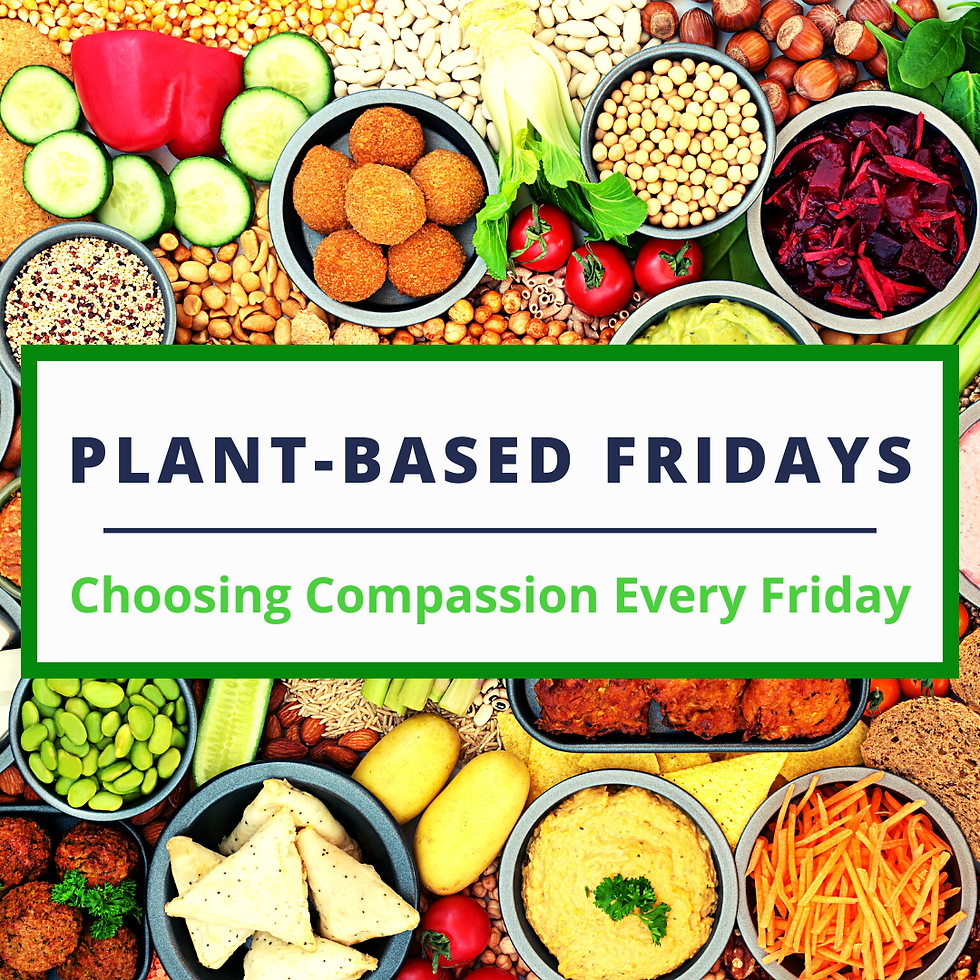 Plant-Based Fridays