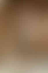 MARLENE - beige fitted tartan sheath dress with short sleeves