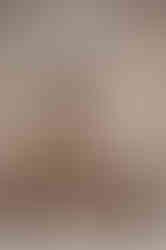GINGER - beige fitted mididress with 3/4 sleeves