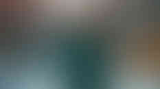 The AUDRAY dark green fitted sheath dress work with 3/4 sleeves