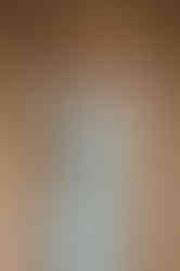 LAUREN mint fitted sheath dress