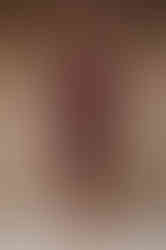 MERYL - bordeaux fitted sheath dress with 3/4 sleeves