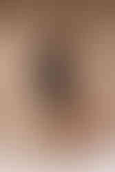 MARLENE - black pinstripe/ beige fitted sheath dress office dress with short sleeves