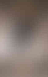 SCARLETT black pinstripe fitted sheath wrap dress with sleeves