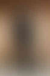 JYL black designer floral pattern woman pantsuit work attire