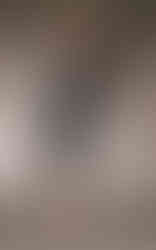 RITA black fitted sheath dress with sleeves little black dress lbd