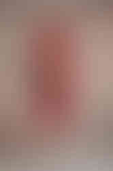 LAUREN red fitted sheath dress