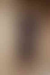 MERYL - navy blue fitted sheath dress with 3/4 sleeves