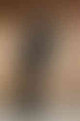 JYL black designer floral pattern woman pantsuit work attire