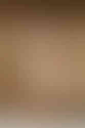 JUDY champagne fitted sheath dress short sleeves