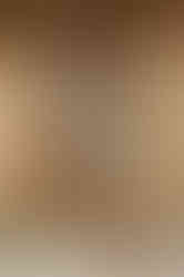 HONEY - beige fitted tartan sheath dress with 3/4 sleeves