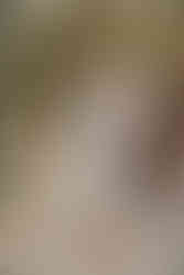 GINGER - light ivory fitted sheath dress with 3/4 lace sleeves