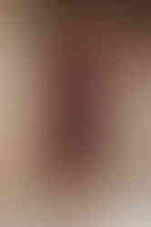 MERYL - bordeaux fitted sheath dress with 3/4 sleeves