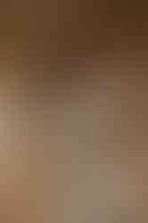 HONEY - beige fitted tartan sheath dress with 3/4 sleeves