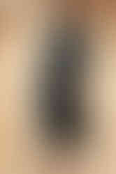 GINGER - dark green tartan mididress with 3/4 sleeves