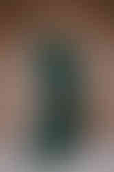 woman dark green jumpsuit wide leg with long sleeves