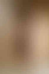 GINGER - brown vegan leather sheath dress with 3/4 sleeves