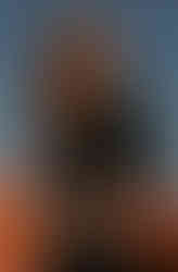 SCARLETT - black fitted sheath dress with 3/4 sleeves