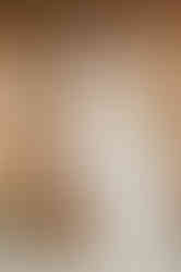 GRACE - light ivory fitted wedding ceremoney sheath dress