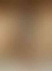 HONEY - beige fitted tartan sheath dress with 3/4 sleeves