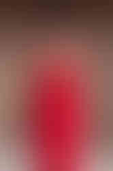 BRIGITTE red fitted sheath mididress