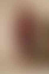 SCARLETT bordeaux red fitted sheath wrap dress with sleeves