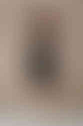 CHARLIZE black fitted sheath dress short sleeves little black dress lbd